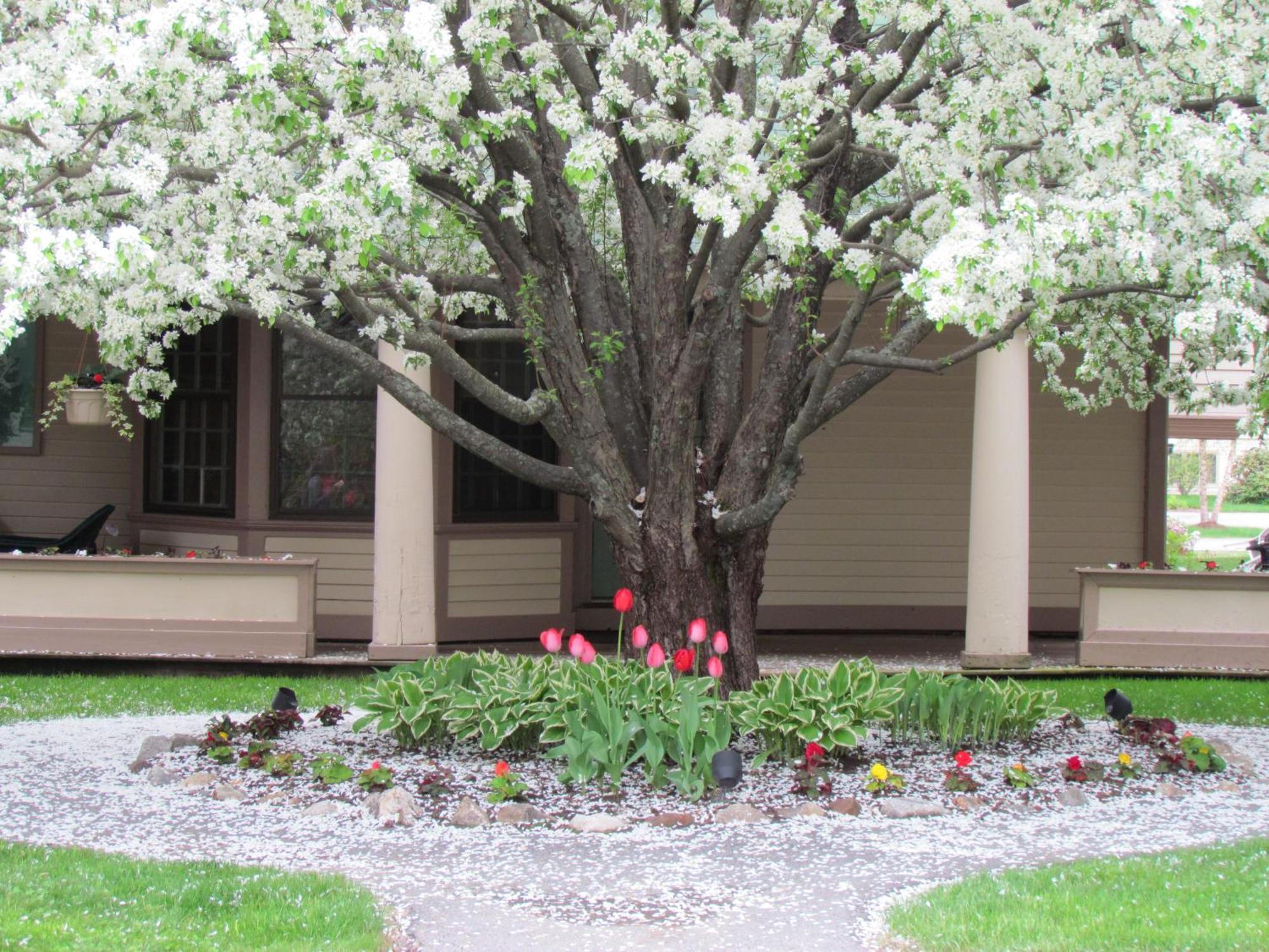 Hotel The Wentworth Jackson Exterior foto